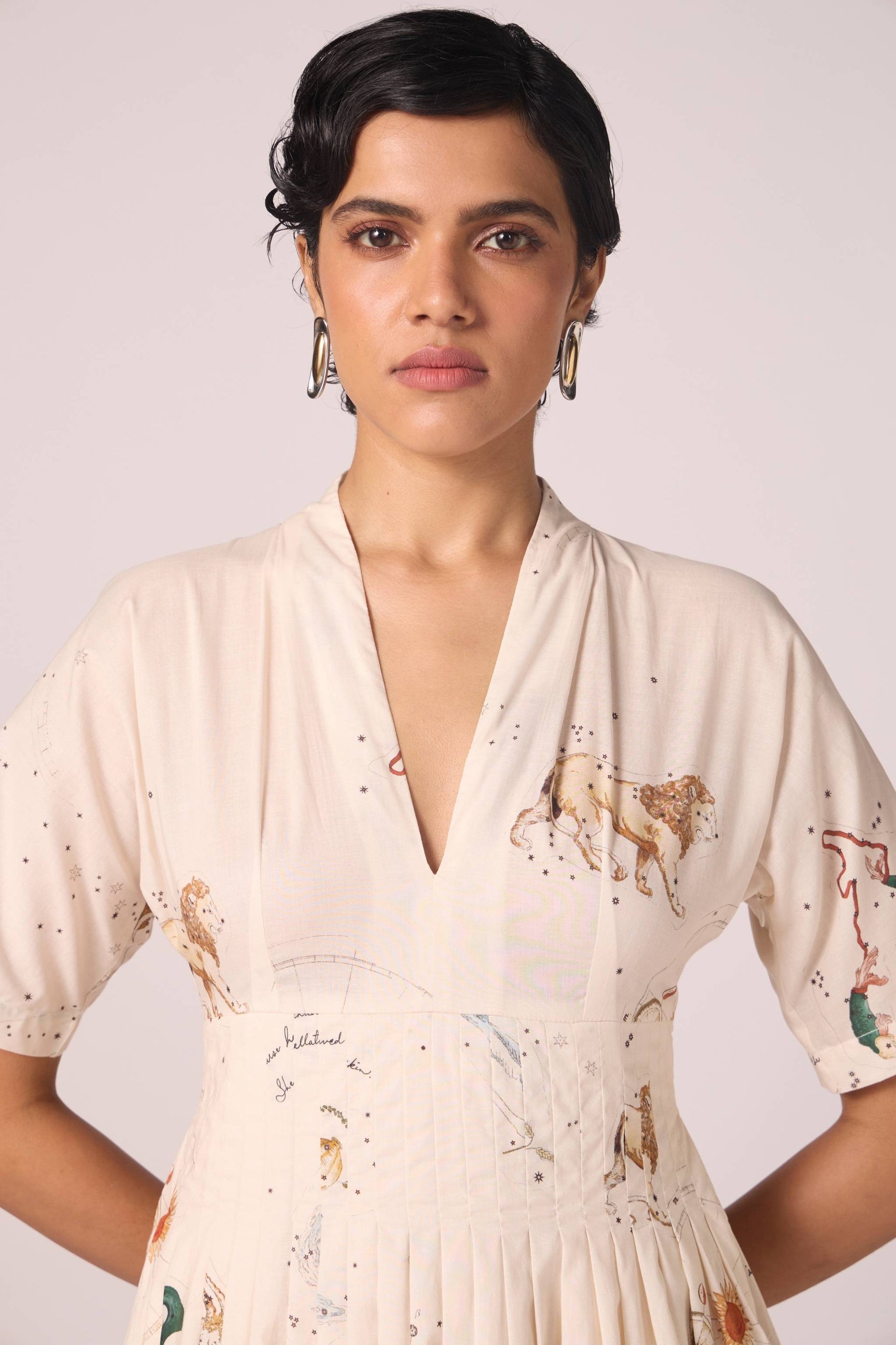 Aara Zodiac Print Pleated Dress thumbnail 4